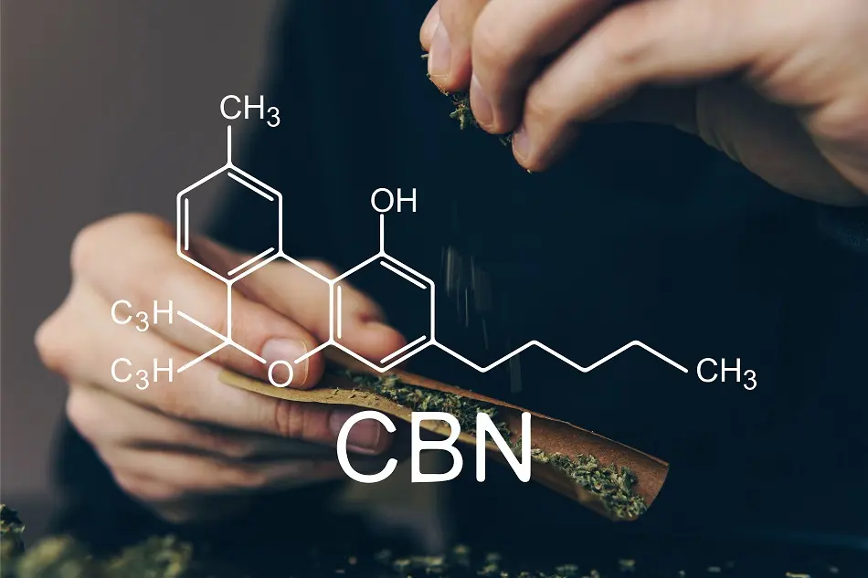 CBN (Cannabinol)