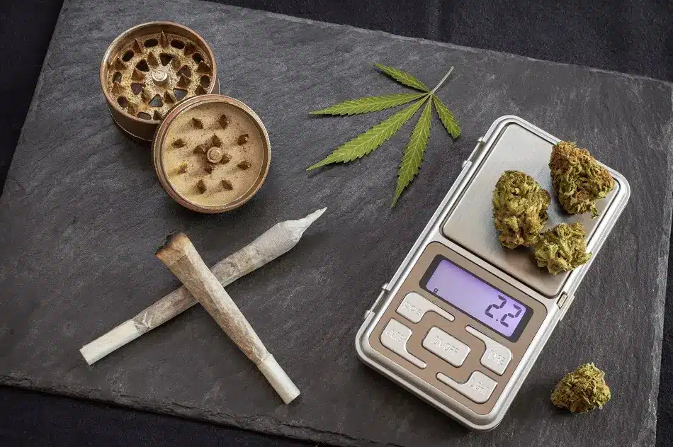 What Is the Right Dose of Cannabis for Creative Purposes?