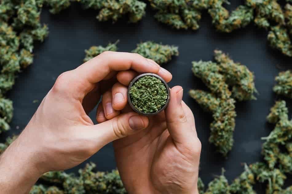 Key Differences Between Medical and Recreational Cannabis