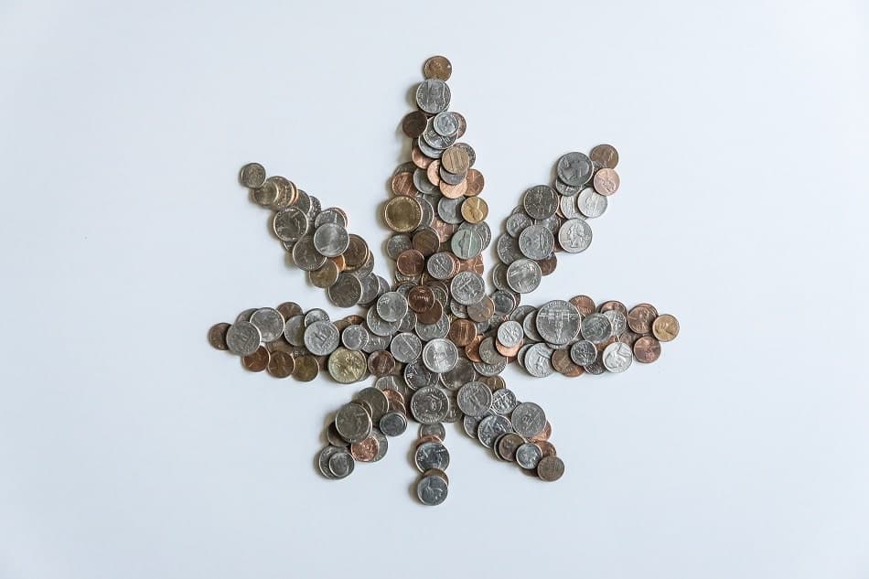 Pricing and Taxation: Economic Factors Impacting Medical and Recreational Cannabis