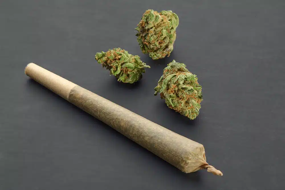 Cannabis Pre-Roll