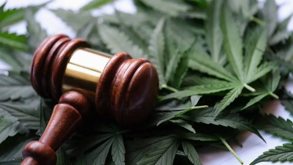 Understanding the Legal Landscape of Recreational Use
