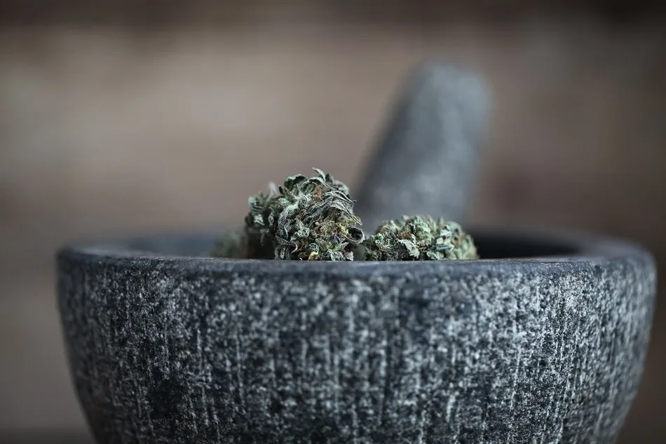 Optimize Your Cannabis Cooking with a Herb Grinder