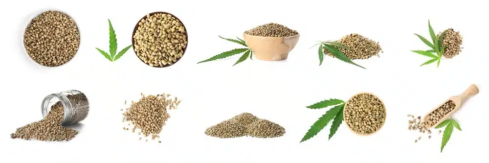 How to Store Different Cannabis Products 