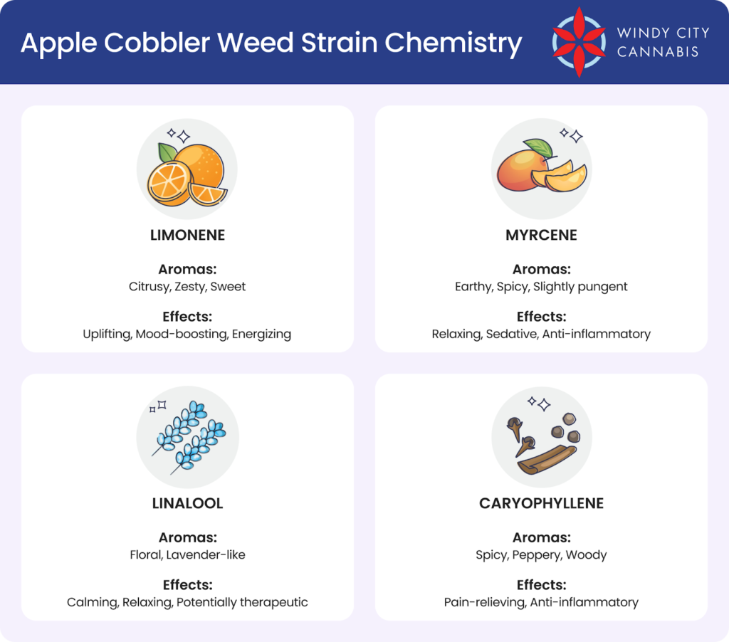 Apple Cobbler Strain Guide Discover the Buzz 🍏🍎