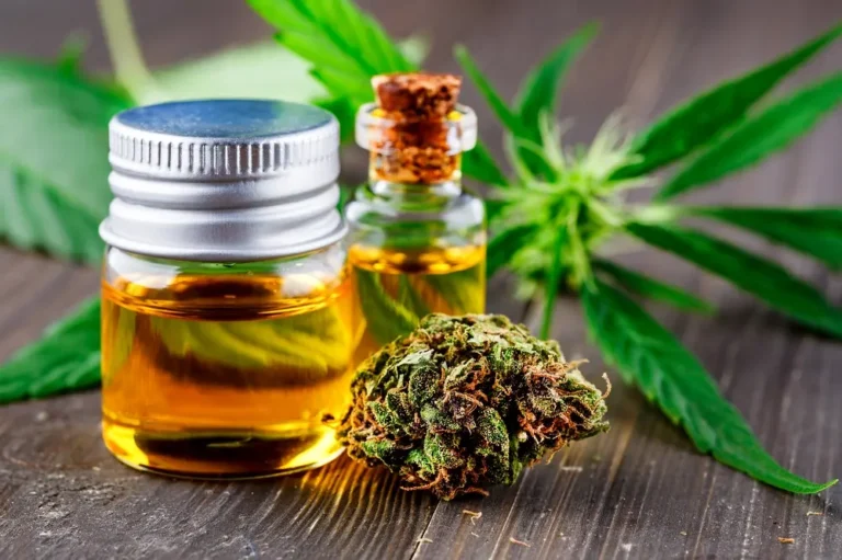 Recreational vs. Medical Cannabis in Illinois: What’s the Difference?